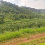 Bán lô đất 6 sào lộc tân 2 sổ riêng, đường đi giữa đất view thoáng gần kdl dambri
