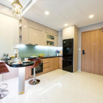 Bán căn hộ 1pn, 1wc tại ql 13, 255 triệu, 60m2, nội thất cơ bản