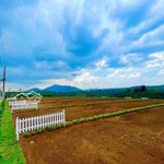 Lô đất vàng di linh sổ hồng riêng, đường nhựa 8m, giá chỉ từ 4,6tr/m².