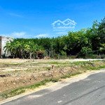 Bán đất tại đường dh519, xã phước sang, phú giáo, bình dương, giá tốt, 550 m2