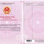 Bán đất nền long hưng city 5x20m, hướng đông bắc, đường 12m