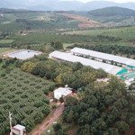 Bán Gấp 2 Lô Đất Mê Linh, Lâm Hà, Lâm Đồng - 1 Lô 17Ha, 1 Lô 20Ha. Giá Bán 8 Tỷ/Ha