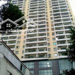 Hiếm!!! bán chung cư 93 lò đúc - kinh đô tower - dt 114m2 - gồm 3 ngủ, phòng khách và bếp rộng