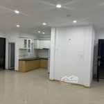 Bán căn hộ góc 130 m2 - 3 phòng ngủ đà nẵng plaza view sông hàn chỉ 4.x tỷ
