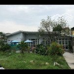 Chính chủ cần bán đất có thể phân lô tặng kèm đất vườn tại thôn thượng phúc tả thanh oai hà nội