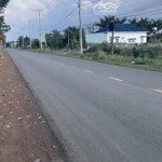Bán 1 sào full hồng mặt tiền đường nhựa lớn liên huyện thông xuân lộc - long khánh