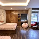 Nhà đẹp lô góc - ngõ thông - phân lô bàn cờ - gần ô tô - chủ tự xây tâm huyết - nội thất gỗ óc chó