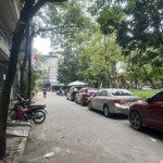 Cực Phẩm Phân Lô, 2 Thoáng, 2 Vỉa Hè, View Công Viên, Ô Tô Dừng Đỗ Nguyễn Cảnh Dị