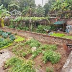 Tài Chính Nhỏ 2,3 Tỷ. Thôn Đoài, Việt Hùng, Cách Thị Trấn 1Km. 44M2.