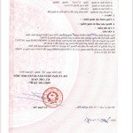 Đất Đẹp - Giá Tốt - Bán Gấp Lô Đất Tiềm Năng Tại Xã Xuân Thới Đông, Hóc Môn