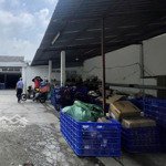 Cho Thuê Kho Xưởng, Mặt Bằng Quận 7Diện Tích800M2