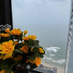 Bán căn hộ mường thanh 2pn 66m2 hướng đông view biển, full nội thất vào ở ngay.