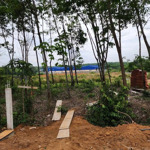 Bán 1,4 Ha Đất Skc Vĩnh Tân. Đã Xin Phép Xd Nhà Xưởng, Pccc Hs Pháp Lý Đã Làm Xong Hết Giá 3, 5 Triệu