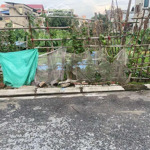 Bán 41M2 Đấtsổ Đỏ Chính Chủngọc Động - Đa Tốn Xe 7C Vào Đường Dải Asphalt, Giá Bán 3.275 Tỷ, Liên Hệ: 0902132489