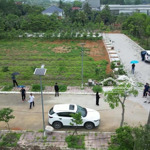 Bán Đất Ngay Đường Tỉnh Lộ, Mặt Bằng Hợp Thắng, Triệu Sơn, Giá Chỉ Hơn 500 Triệu/1 Lô, Diện Tích 120M2