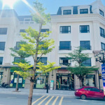 Cần tiền bán gấp căn liền kề 67,5 m2 , xây 5 tầng giá rẻ nhất thị trường vin móng cái tts 3,7 tỷ