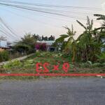 đất mt đường trần văn ngà gần kdc an vĩnh ngãi tp tân an, long an