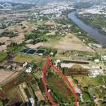 Bán Gấp 5000M2 Đất Trồng Cây Phủ Hồng Giá Đầu Tư 8 Triệu/M2
