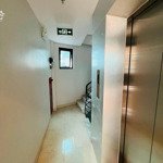 Bán Nhà 8 Tầng Phố Phan Kế Bính, Ba Đình, Đầu Tư, Dòng Tiền,Diện Tích80M2*Mặt Tiền8M* Giá Bán 23.9 Tỷ Siêu Đẹp