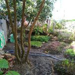 Em chính chủ bán gấp đất tại đình trị yên, cần giuộc, long an, giá cắt lỗ 950 triu
