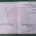 Lô đất đẹp tân định, phương trường giang giá rẻ sổ luôn công chứng