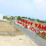 Bán Đất Giá Tốt Tại Thị Trấn Cần Đước - Đường Trương Định - Sát Vinhomes Long Hựu Đông