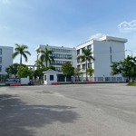đất biệt thự song lập khu nhà ở mê linh - anh dũng. diện tích 180m2. hướng tây tứ trạch