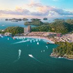 Siêu phẩm hiếm thấp tầng xanh island cát bà, dt 135m2, mặt tiền 7.5m, view biển, pháp lý rõ ràng.