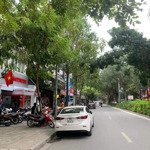 Duy Nhất Liền Kề Xa La 120M2X4T, Cách Phố Hạnh Hoa 50M, Lô Góc, Siêu Kinh Doanh, Giá Bán 30 Tỷ