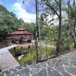 Bán Đất Nhà Vườn Nghỉ Dưỡng Siêu Đẹp. Cách Quốc Lộ 20 Chỉ 300M.diện Tích5500M2 -Mặt Tiền50M X110 (Gồm 2 Sổ)