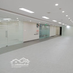 Cho thuê văn phòng giá tốt tô hiến thành quận 10 - dt 275m2 giá thuê 62.000.000/th đã bao gồm pql