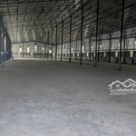 Cho thuê xường ngay cầu mỹ thuận vĩnh long dt 3000m2