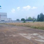 Cho thuê đất trống trong kcn nhơn trạch 9000m2 giá 20 nghìn/m² lh 0933725660