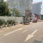 Bán lô 2 mặt thoáng, tại tàm xá- đông anh, diện tích 48,6m2- giá 178tr/m2, ô tô ngủ tại đất
