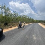 Bán Đất Mặt Tiền Đường Pà Tá Gia Huynh, 7,5 Tỷ, 2462 M2, Gần Khu Dân Cư, Sắp Mở Khu Công Nghiệp.