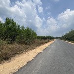 Bán Đất Tại Pà Tá, Gia Huynh, Tánh Linh, Bình Thuận, Giá Cực Chất 17,5 Tỷ, 8205M2