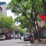 Ccmn 10 Phòng, Dòng Tiền 50 Triệu/Tháng,Diện Tích60M2,Mặt Tiền5M, 6 Tầng, Đường 12M, Khu Đấu Giá Đa Sỹ, Hà Đông