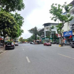 Bán Lô Đất 486M2 Mặt Tiền 14M Mặt Đường Trần Hưng Đạo Hoàn Kiếm Vị Trí Vàng Kinh Doanh Sầm Uất