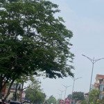 Bán gấp đất nền 99m2, 2,25 tỷ ở quốc lộ 2b, kim long, tam dương, vĩnh phúc
