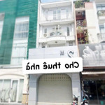 Cho Thuê Nhà Nguyên Căn Hẻm 407/ Sư Vạn Hạnh, Phường 12, Quận 10
