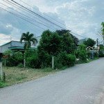Đất Đẹp Tại Đường Phi Trường, Tân Bình, Vĩnh Cửu, Đồng Nai, 1,95 Tỷ, 177 M2