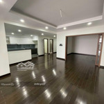 Cho thuê căn hộ platinum số 6 nguyễn công hoan, 118m2, 2pn, đồ cơ bản, giá 20tr/th lh: 0814332325