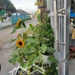 Bán nhà 50m2, xuân thới thượng, hóc môn, có giấy phép xây dựng