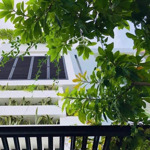 Bán Nhà Đẹp 4 Tầng Full Nội Thất Cao Cấp Tại Khu Đô Thị Hà Quang 2 - Đường 13M - Dọn Vào Ở Ngay