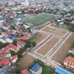 Chính chủ gửi bán lô 43 đấu giá tt. an dương, hải phòng