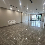 Chính chủ cho thuê tòa building mặt phố trần quý cáp 100m2 x 9 tầng - thang máy - mới xây
