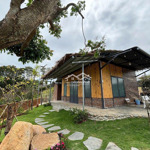 Cần Bán Đất Nền A1 Thông Reo.diện Tích966M2 Có 150M2 Tc. Cách Ql 27 Tầm 100M. Giá Bán 3 Tỷ 2