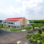 Đất Nền Long Nguyên Đầy Đủ Sổ Hồng, Sổ Đỏ Riêng Từng Nền, Pháp Lý Đầy Đủ