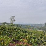 Đất Nam Hà 1.200M, Ngang Khủng 24M Giá Chỉ 1,25 Tỷ