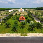 Bán Dn Tại Đường Dh619, Xã Long Nguyên, Bàu Bàng, Bình Dương, Giá Cực Chất 1,05 Tỷ, 95M2